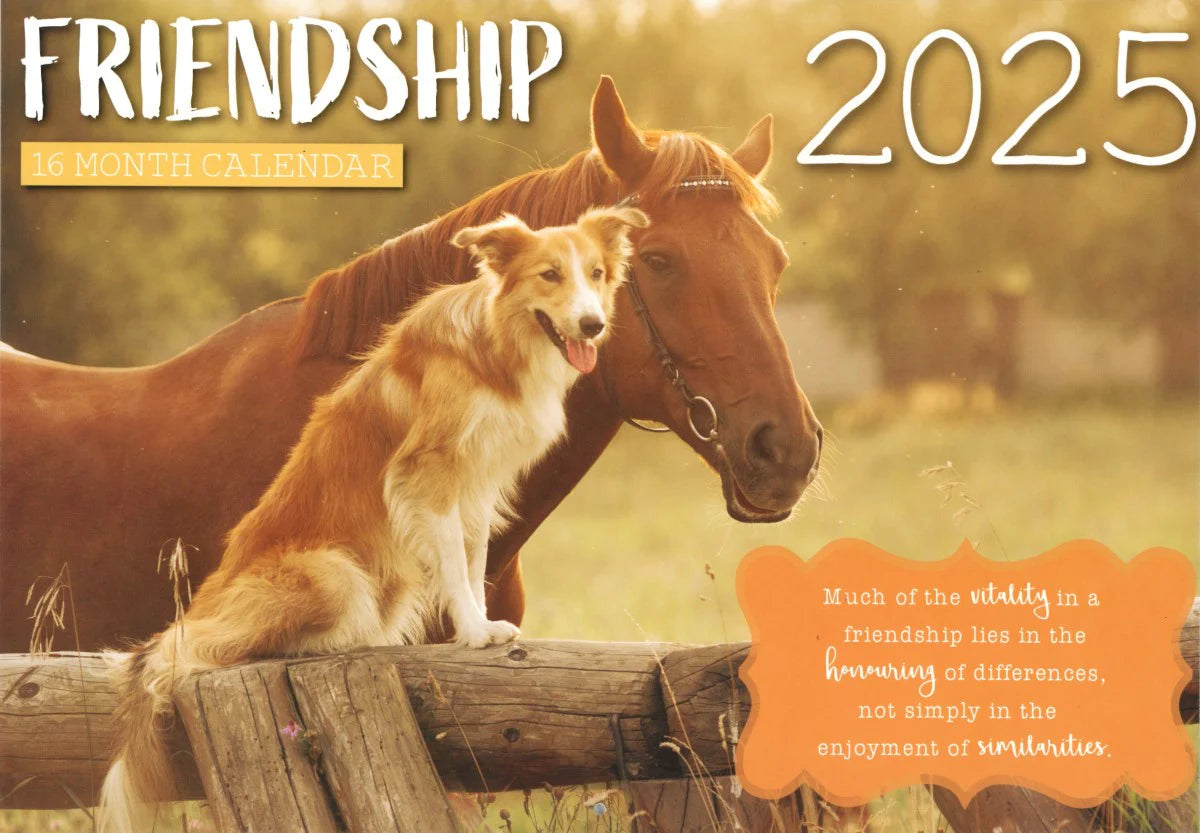 2025 Wall Calendar Friendship