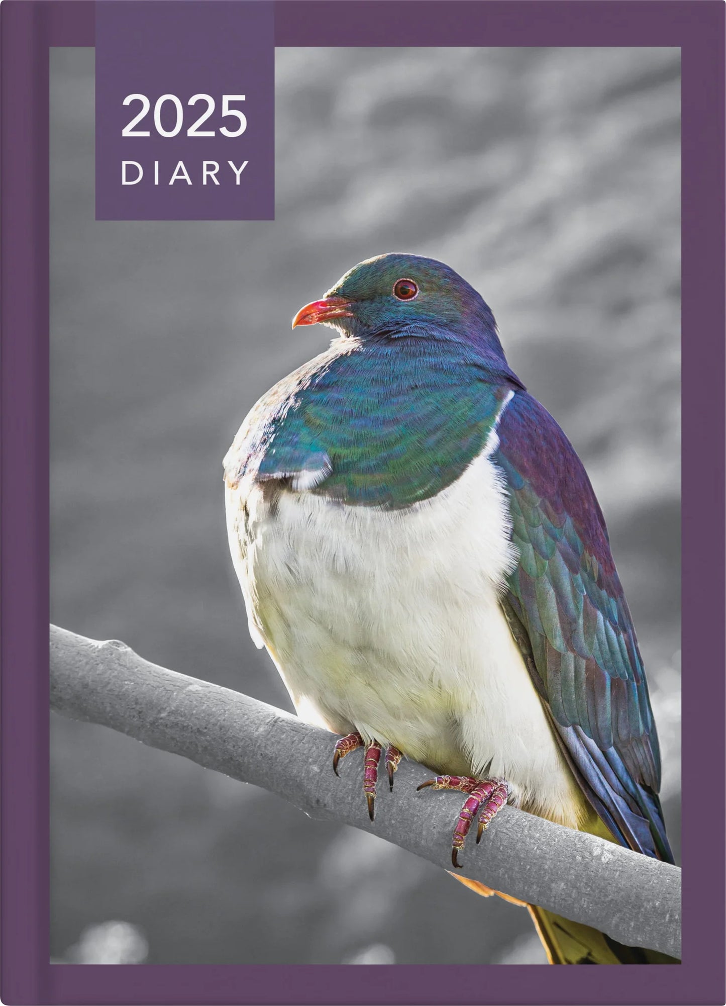 Diary 2025 Collins A53 NZ Birds Week to View