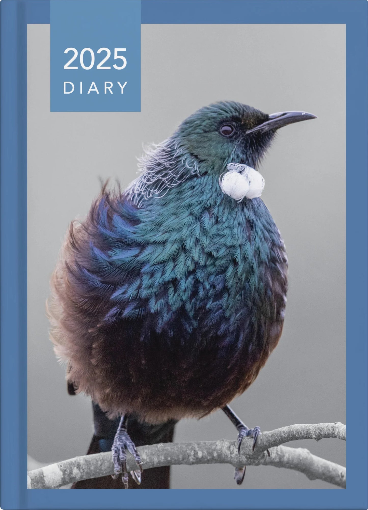 Diary 2025 Collins A53 NZ Birds Week to View