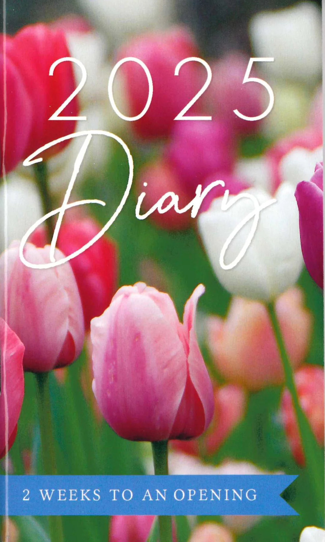 2025 Diary Two Weeks to View Floral