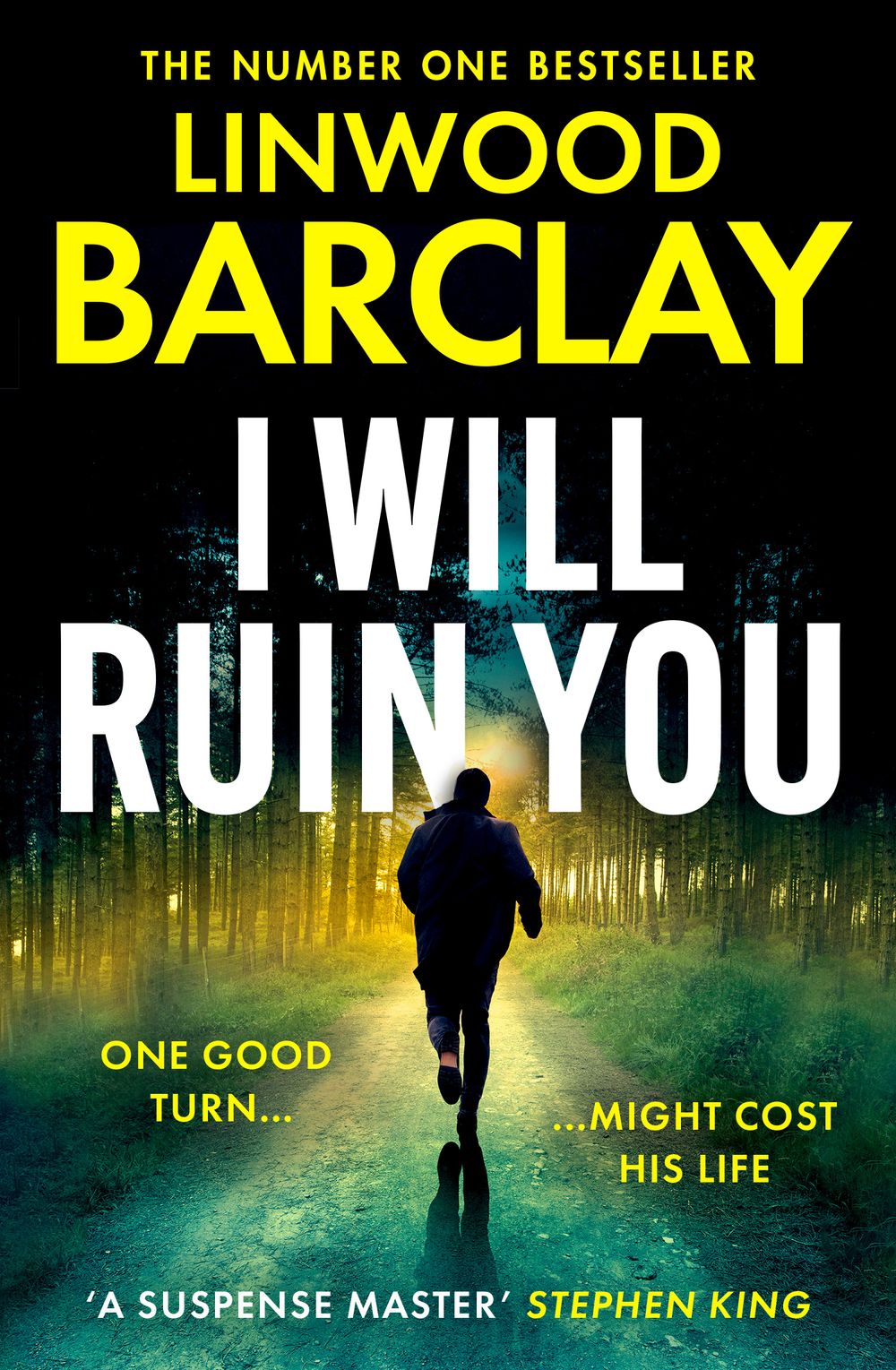 I Will Ruin You Linwood Barclay