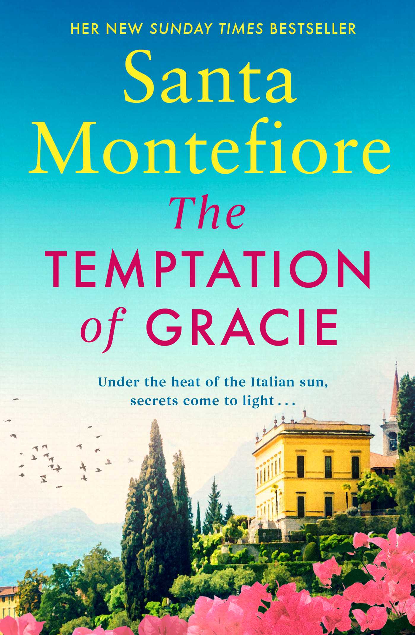 TEMPTATION OF GRACIE by Santa Montefiore - City Books & Lotto